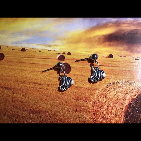 Pumpkin earrings stainless studs silver fall 925 - Picture 5 of 7